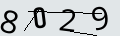 verifycode